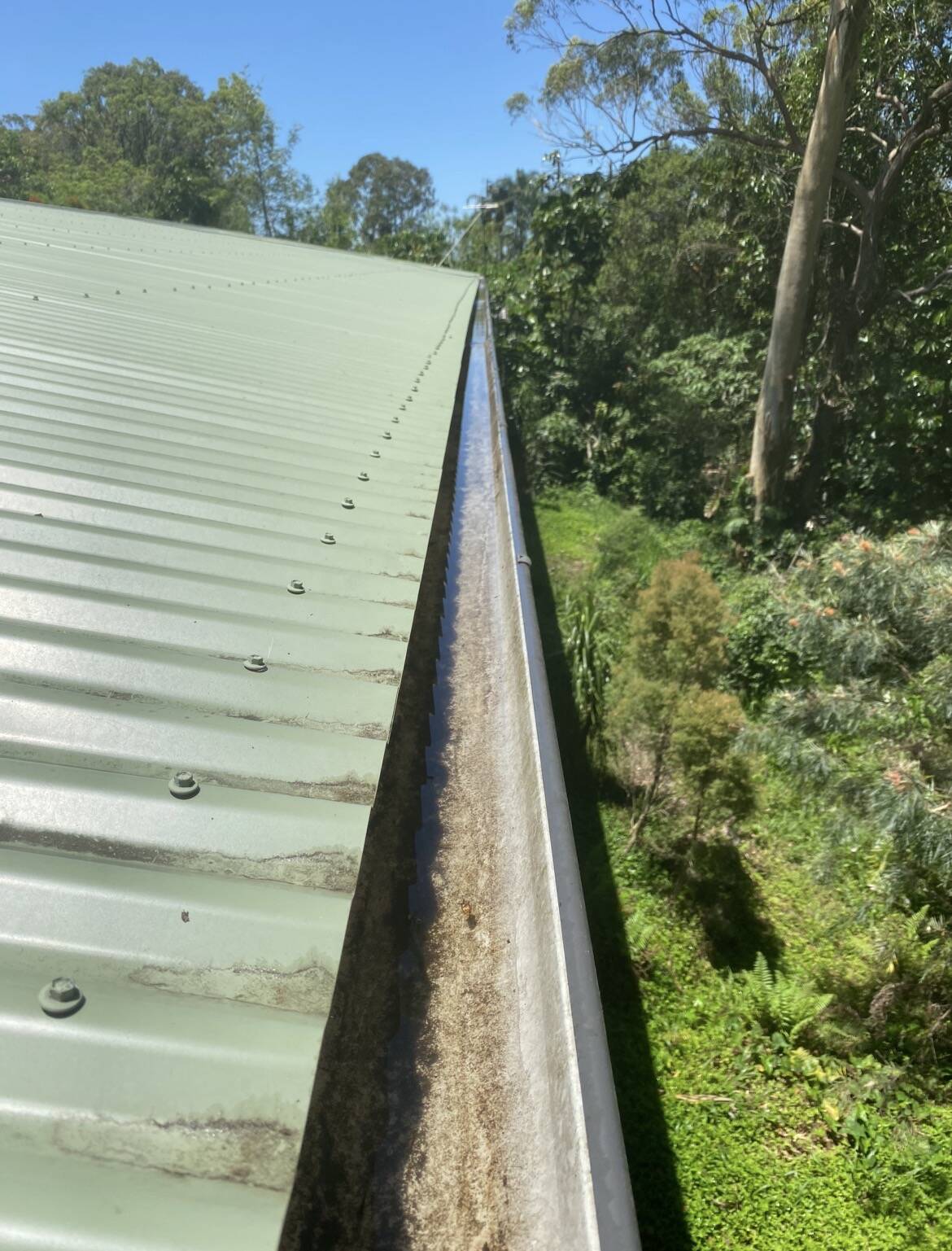 Gutter Cleaning