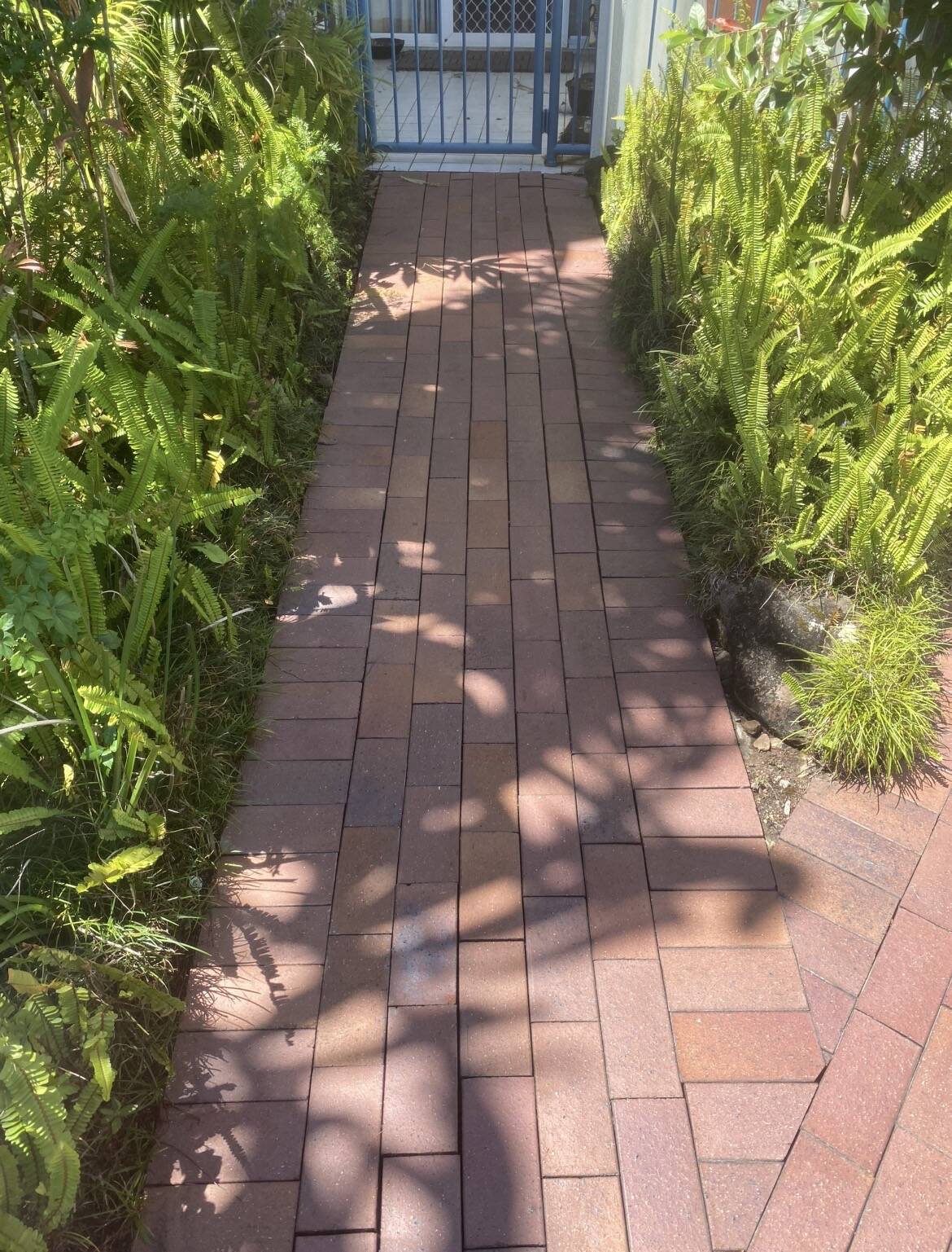 Pressure Cleaning