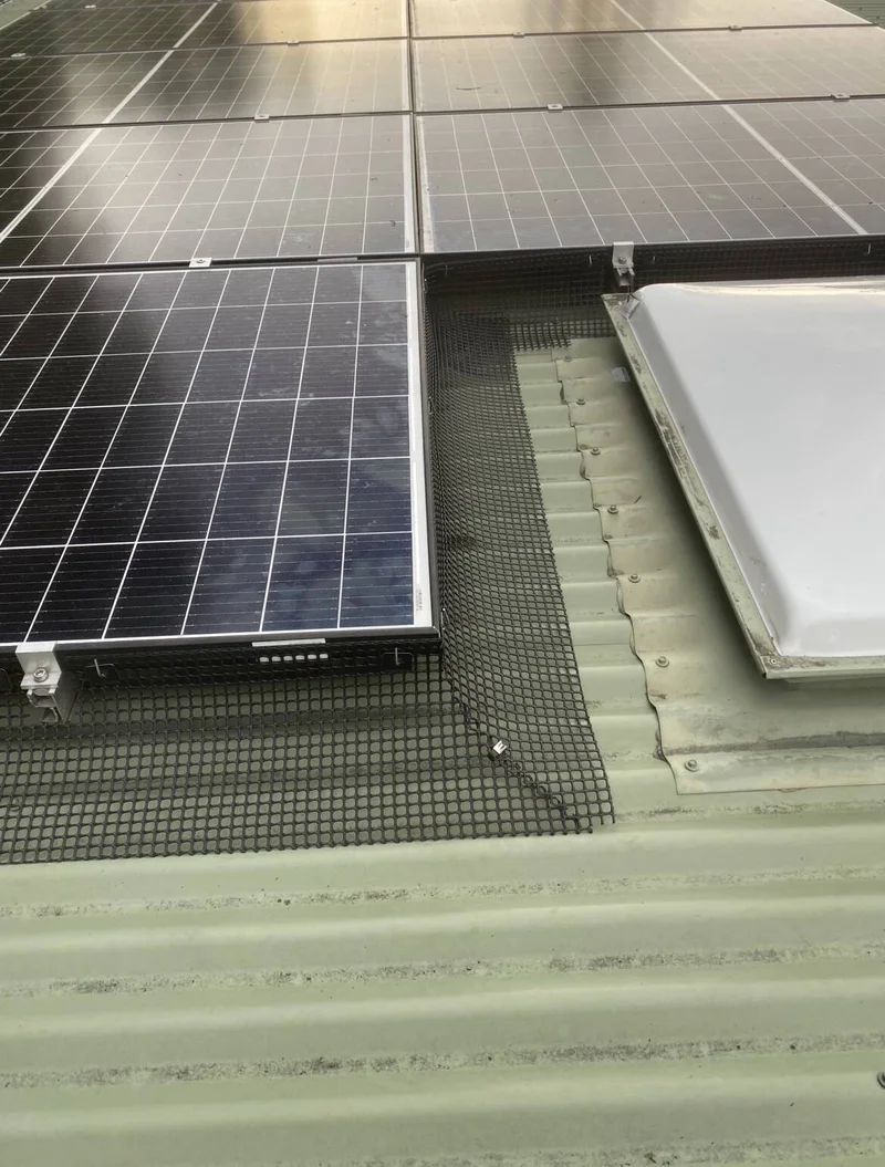 Solar Panel Bird Proofing